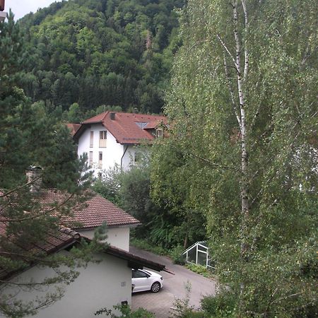 Appartemant Steineberg Immenstadt im Allgaeu Ngoại thất bức ảnh